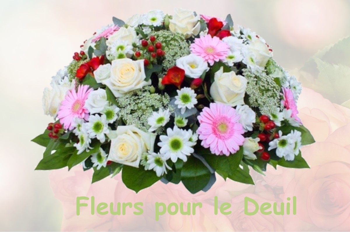 fleurs deuil SAINT-MARTIN-LA-MEANNE